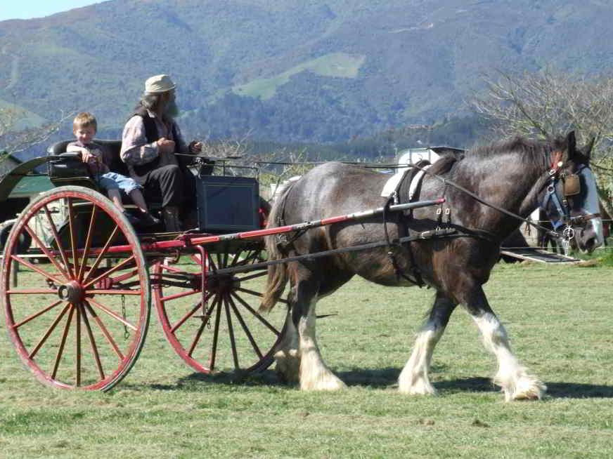 Wagon