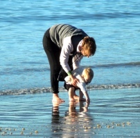 The developmental "loop"